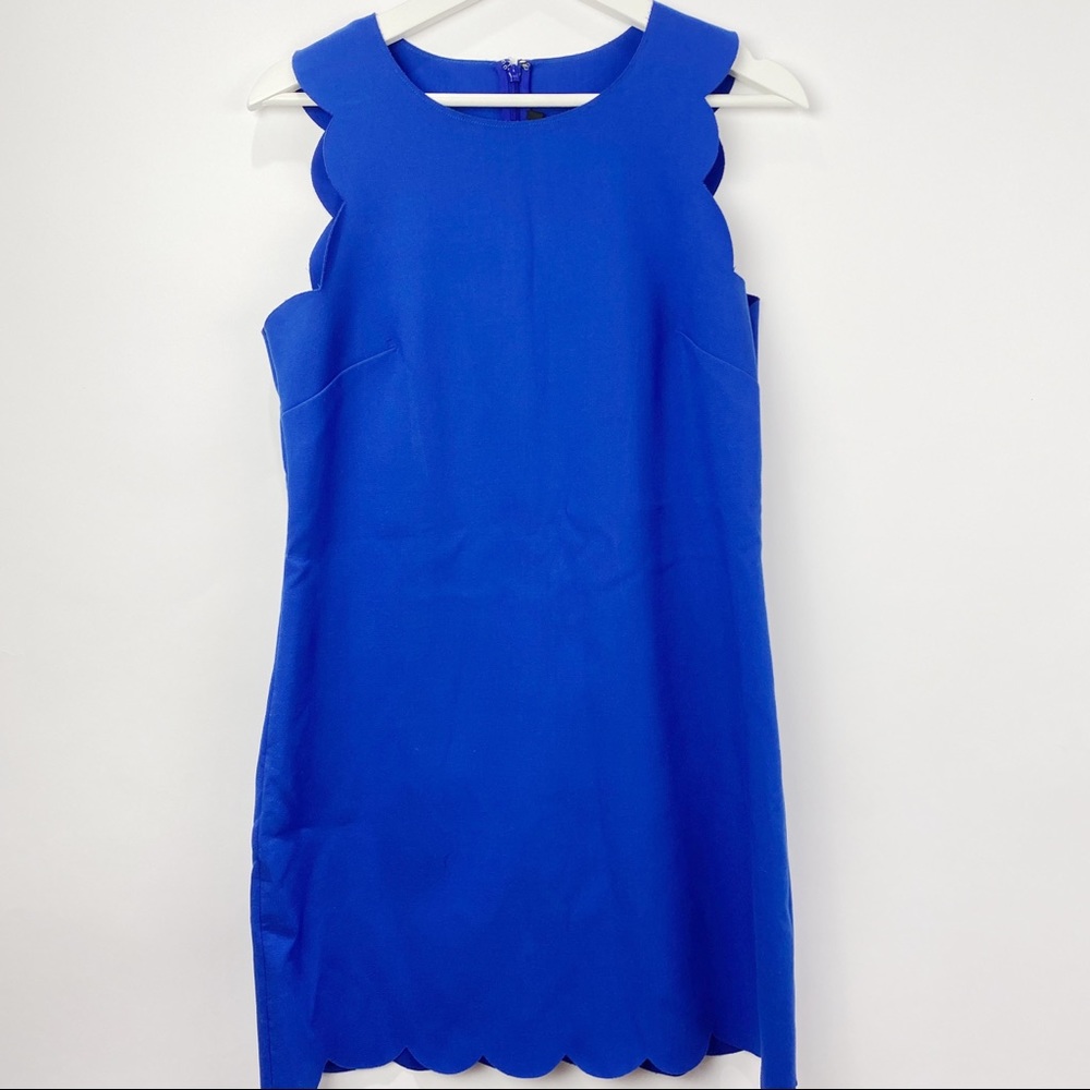 J. Crew Cobalt Blue Scallop Sheath Dress
